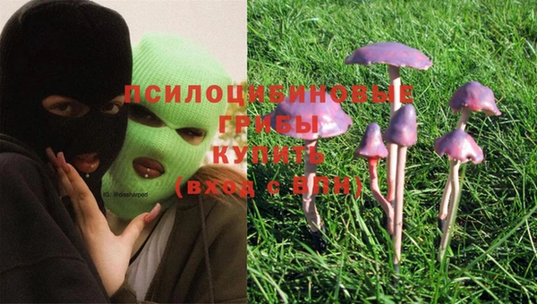 круглые Алексин