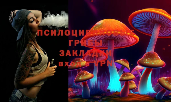 ГАЛЛЮЦИНОГЕННЫЕ ГРИБЫ Новокубанск