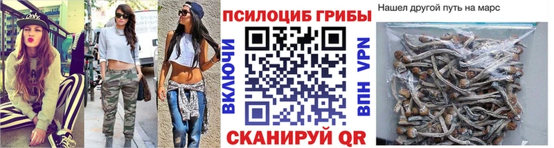 KRAKEN tor  Новозыбков  Псилоцибиновые грибы Cubensis  купить  